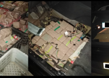 حجز700 كلغ من المخدرات و لوحات ترقيم مزورة بطنجة