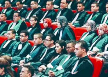 القضاة يساهمون بنصف راتب شهر واحد لفائدة الصندوق الخاص بتدبير وباء كورونا