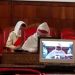 النقض تعقد أول جلسة لقضايا تسليم المجرمين الأجانب عن بعد