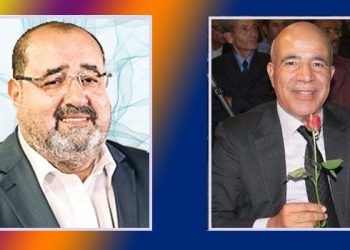 عبد المقصود الراشيدي للشكر: لقد قمت بتهريب النقاش حول قانون تكميم الأفواه