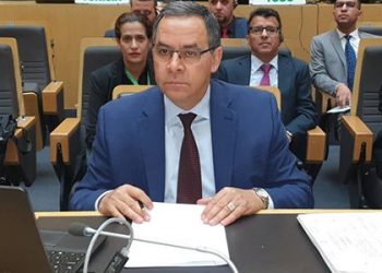 المغرب نائبا للرئيس للجنة الفرعية للاتحاد الإفريقي بشأن القضايا البيئية