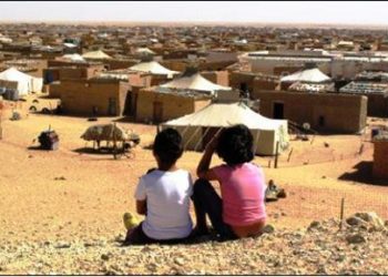 ناشط حقوقي: الجزائر مسؤولة عن استمرار “معاناة وآلام” المحتجزين بتندوف