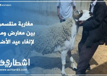 هذا رد المغاربة على مطالب إلغاء عيد الأضحى