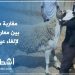 هذا رد المغاربة على مطالب إلغاء عيد الأضحى