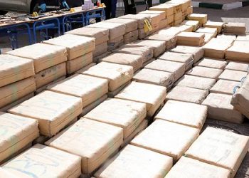 حجز الحشيش بالعيون.. العملية تندرج في إطار مكافحة الاتجار الدولي في المخدرات