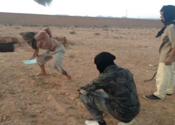 خبير نرويجي يعتبر انتهاكات حقوق الإنسان في تندوف غير قابلة للتقادم