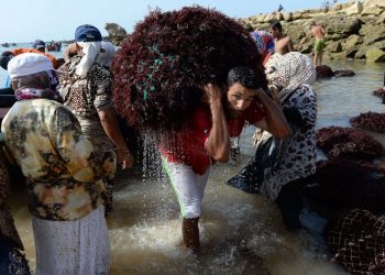 الإقتصاد الغير المهيكل يشغل 15 مليون مغربي