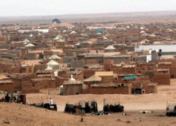عضو بالكونغرس يدعو الإدارة الأمريكية للتنديد ب البوليساريو والحزم لإنهاء النزاع المفتعل حول الصحراء
