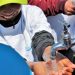 التعامل مع الإجراءات الاحترازية رهان كسب مرحلة ما بعد رفع الحجر الصحي