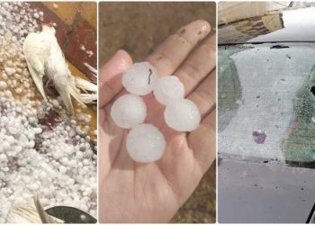 برلمانيو جهة فاس ينوهون بالعناية الملكية للفلاحين المتضررين من “التبروري”