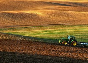 الأراضي السلالية .. ورش ملكي رائد من أجل واقع اقتصادي واجتماعي جديد بالعالم القروي