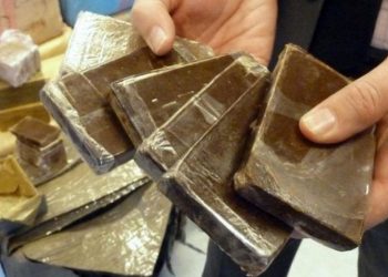 حيازة 860 كلغ من الشيرا تتسبب في إيقاف شخص بكلميم