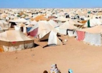 (البوليساريو) تسعى إلى الضغط على الأمم المتحدة لإعادة النزاع حول الصحراء إلى الواجهة بعدما باتت خارج حسابات التوازنات الإقليمية والدولية