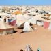 (البوليساريو) تسعى إلى الضغط على الأمم المتحدة لإعادة النزاع حول الصحراء إلى الواجهة بعدما باتت خارج حسابات التوازنات الإقليمية والدولية