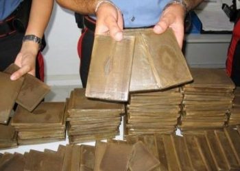 حجز530 كلغ من الحشيش في وجدة