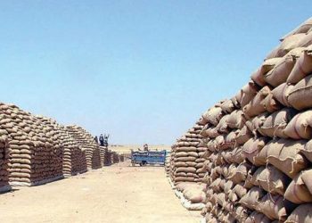 استيراد الحبوب ارتفع بنسبة 8ر49 في المائة مع متم شهر يوليوز