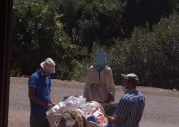 توزيع أزيد من 241 قفة على الأسر المعوزة المتضررة من جائحة كورونا بجماعة أيت عباس