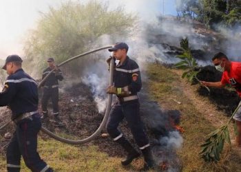 طنجة : اندلاع حريق بمنطقة كورنيش مرقالة