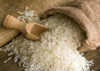 علماء : تناول الكثير من الأرز مع وجباتك قد يكون قاتلا