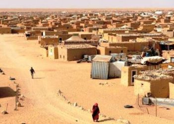 جوهانسبورغ : فضح انتهاكات حقوق الإنسان من قبل انفصاليي “البوليساريو” في مخيمات تندوف