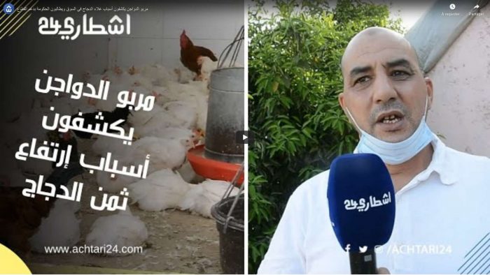 إرتفاع في أسعار الدجاج ومربو الدواجن يكشفون السبب