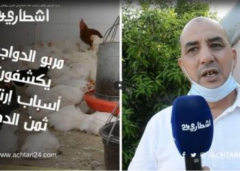 إرتفاع في أسعار الدجاج ومربو الدواجن يكشفون السبب