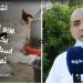 إرتفاع في أسعار الدجاج ومربو الدواجن يكشفون السبب