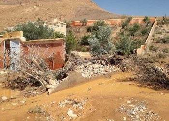 تزنيت : خسائر كبيرة بسبب سيول جارفة ضواحي تافراوت (صور)