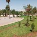 تازة: المديرية الإقليمية للسكنى والتعمير وسياسة المدينة تعدد مشاريعها