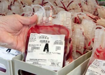 الدار البيضاء : جماهير الرجاء الرياضي تُساهم في حملة للتبرع بالدم