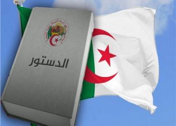 دراسة تلقي الضوء على تاريخ الكلاب الجيني الغني