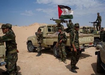 مجلس الأمن يعرب مجددا عن “قلقه” إزاء استفزازات البوليساريو وانتهاكاتها للاتفاقات العسكرية