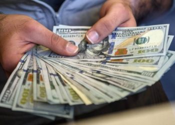 صافي الأصول المخصصة للاستثمارات في العملات الأجنبية في سنة 2019بلغ 1في المائة 