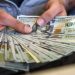 صافي الأصول المخصصة للاستثمارات في العملات الأجنبية في سنة 2019بلغ 1في المائة 