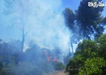 حريق جديد يدمر الغابة الديبلوماسية بطنجة