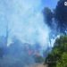 حريق جديد يدمر الغابة الديبلوماسية بطنجة