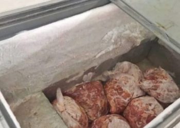 طنجة.. حجز أكياس اللحوم الغير صالحة للاستهلاك