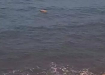 طنجة.. البحر يلفظ مخدرات بشاطئ مرقالة