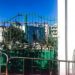 طنجة..إجراءات مشددة  يوم عطلة المولد النبوي
