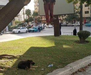 طنجة.. انتحار شخص شنقا بجوار مسجد بدر
