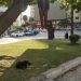 طنجة.. انتحار شخص شنقا بجوار مسجد بدر