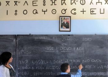 بلاغ هام من وزارة أمزازي بخصوص عدد الأقسام المسندة في تدريس اللغة الأمازيغية