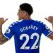 إيفرتون يضم جودفري من نورويتش سيتي