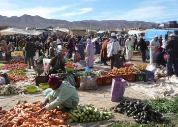  إعادة فتح جزئي للسوق الأسبوعي ابتداء من الأسبوع المقبل بقصبة تادلة