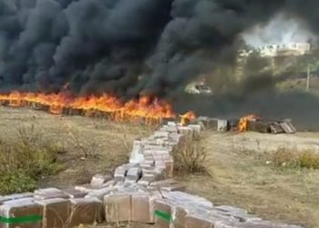 سلطات طنجة تحرق وتتلف أطنان المخدرات من مختلف الأصناف