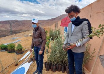 مؤسسة الأطلس الكبير تزرع البسمة في وجوه فلاحي منطقة ورززات في برنامج مليون شجرة بالمغرب