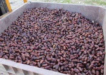 حجز 30 طنا من التمر الغير صالح للاستهلاك بالبيضاء