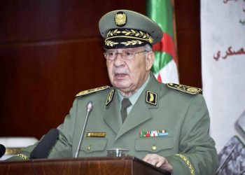 تورط   4 أبناء القايد صالح في قضايا فساد