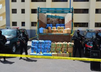 ارتفاع محجوزات مخدر الحشيش إلى أزيد من 217 طنا