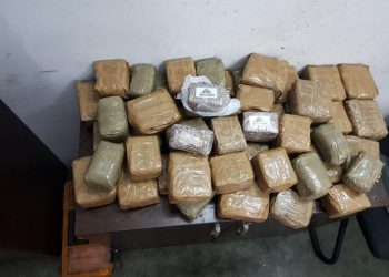 إحباط محاولتين منفصلتين لتهريب 745 كيلوغراما من مخدر الشيرا بميناء طنجة